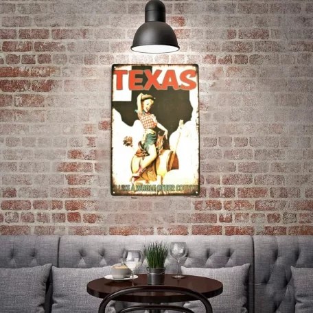 Vintage Dekor Fémtábla, dombornyomott, 'TEXAS' felirat, retro hangulatú kialakítás, 20x30cm