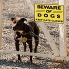 Vintage Dekor Fémtábla, dombornyomott 'BEWARE OF DOGS KEEP GATE CLOSED' felirat, retro hangulatú kialakítás, 30x20cm
