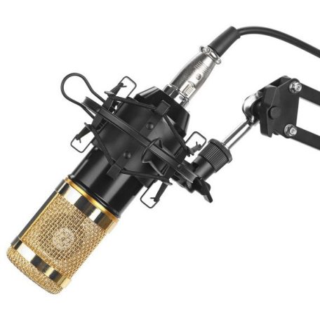 Professzionális kondenzátor stúdió mikrofon, állvánnyal és kiegészítőkkel, arany-fekete