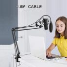 Professzionális kondenzátor stúdió mikrofon, állvánnyal és kiegészítőkkel, arany-fekete