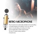 Professzionális kondenzátor stúdió mikrofon, vezetékes, állítható dőlésszögű, U alakú mikrofontartóval, arany szín