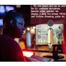 Professzionális kondenzátor stúdió mikrofon, vezetékes, állítható dőlésszögű, U alakú mikrofontartóval, arany szín