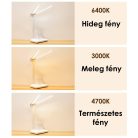 Asztali LED Lámpa, tolltartóval, mobiltelefon tartóval, állítható fényerősség és színhőmérséklet, fehér