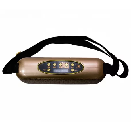 Hordozható Hangszóró, Bluetooth hangfal, USB input, MicroSD kártya olvasó, arany színű