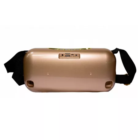 Hordozható Hangszóró, Bluetooth hangfal, USB input, MicroSD kártya olvasó, arany színű