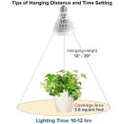 Növénynevelő Lámpa SANSI, 15W, DE27 Ø7.5cm 34xLED-es meleg fehér fényű