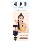 Csiptetős Dual Vezeték Nélküli Mikrofon, Okostelefonhoz, Omnidirekcionális, Wireless, USB-C/Lightning csatlakozó, fekete